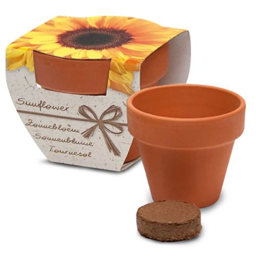 Flower in pot - Image 6